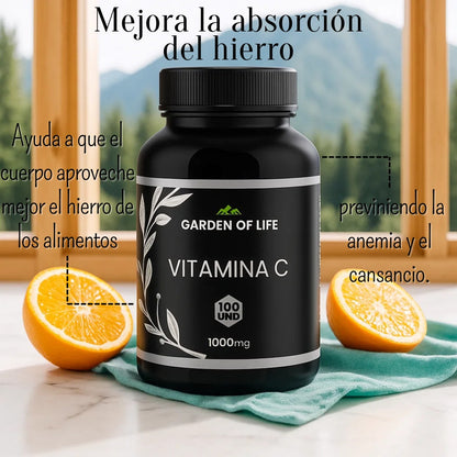Vitamina C Garden Of Life x 100 Cápsulas