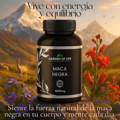 Maca Negra Garden Of Life x 100 Cápsulas