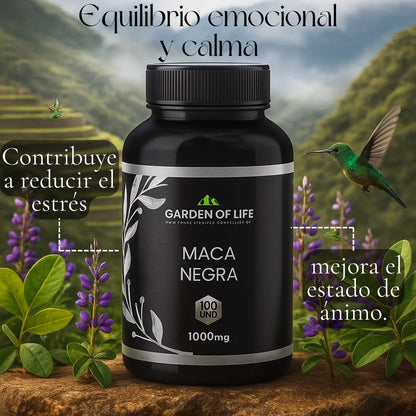 Maca Negra Garden Of Life x 100 Cápsulas